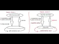 12 Life Cycle Methods of JSP and Servlet Servlet JSP Life Cycle Convenience Methods Flow Execution