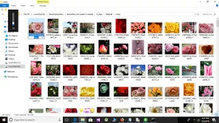 Windows Tensorflow classifier Build Quickly Using Transfer learning