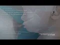 Virtual Baby 3D model of the anatomy and physiology of sucking and swallowing in infants