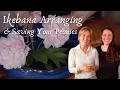 Download Lagu Ikebana Arranging \u0026 Saving Your Peonies