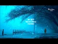 王菲 《微風細雨》 小草也在輕輕低語...Faye Wong ♥ ♪♫*•