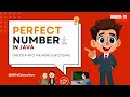Perfect Number in Java Java Basics for Beginners Loop Logic Explained