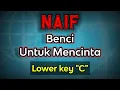 Download Lagu benci untuk mencinta - naif (karaoke lower key)