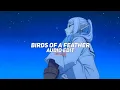 Lagu birds of a feather - billie eilish [edit audio]