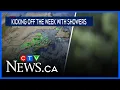 How much rain to expect Monday through Tuesday in the Maritimes