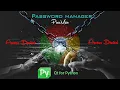 Real Software - GUI Password manager with Python PyQt6 PySide6
