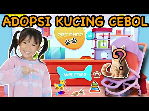 ALETHA ABEW ADOPSI BAYI KUCING CEBOL