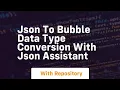 Json to bubble data type conversion with json assistant