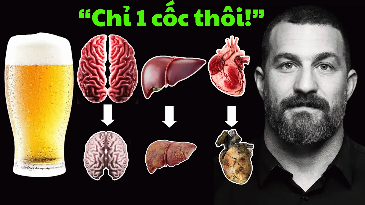 Outline Video Andrew Huberman: Rượu Bia Đầu Độc Bộ Não & Cơ Thể Của Bạn Như Thế Nào? - Tồi Tệ Hơn Nhiều Bạn Nghĩ!