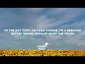 Sabrina Carpenter - because i liked a boy (Lyrics)