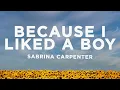 Download Lagu Sabrina Carpenter - because i liked a boy (Lyrics)