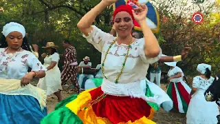 flor do samba 2025 clipe oficial