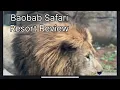 Baobab Safari Resort Review
