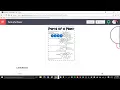 How to create a labeled Diagram Activity