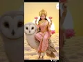 Download Lagu #hello maa Lakshmi Channa Dharti per 🌺🌺🌺🌺🌺🌺