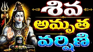 శివ అమృత వర్షిణి | Shiva Amruta Varshini | Lord Shiva Devotional Songs | Telugu Bhakti Songs