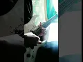 Download Lagu mahalini - sial (guitar cover)