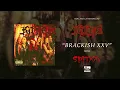 Kittie - Brackish XXV (Official Audio)