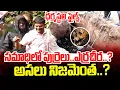 Download Lagu Dharmasthali Files : Exclusive Updates | SumanTV Tirupati