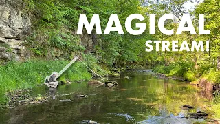 Download Fishing a Wisconsin Stream in the Rain—Magical! (Tenkara Fly Fishing) MP3