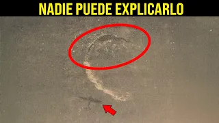 En 1936, un avión fotografió algo sobre el Golfo Pérsico que la ciencia aún no puede explicar.