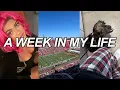 Week In My Life Concerts Fall Shoe Haul College Football Game