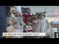 Grand Rapids Downtown Market hosts oddities market
