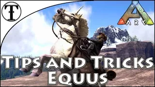 Fast Unicorn and Equus Horse Taming Guide Ark Survival Evolved Tips and Tricks