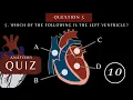 Can You Pass This Heart Anatomy and Physiology Quiz Questions with Answers
