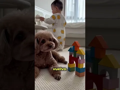 Le Pidió Que Cuidara el Castillo… y lo Derribó en Cuanto se Fue 😱⚠️
