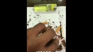 محشش هههه دندنها