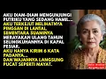Download Lagu Putriku Kritis di ICU, Menantuku Malah Pesta dengan Pelakor di Atas Kapal Pesiar Mewah.