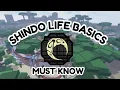 Shindo Life Basics You NEED to Know