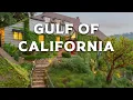 Download Lagu Wonders of The Gulf of California | Hidden Places I Wish I Had Found Sooner! | Travel Video 4K