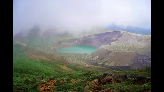                    دندنها