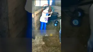 هل هذا الحصان أذكى حيوان في العالم 