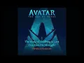 AVATAR 2 : The Weeknd - Nothing Is Lost You (Give Me Strength) [PSHKR’s on Pandora Mix]