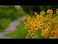 Diplo, Jessie Murph, Polo G - Heartbroken (Clean Lyrics)