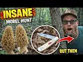 Finding an INSANE amount of Morel Mushrooms the size of pop cans But I Lost My Knife Or did I