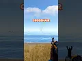 Fastest way to learn Rust Recoil