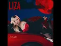 Hyuンdai - Hyundai - Liza
