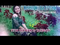 Download Lagu TITTA HERNITA TARIGAN | KELENG LA ERBAGI | LAGU KARO DIKEN RECORD