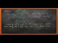 DSP 12 DFT Matrix Circular Convolution