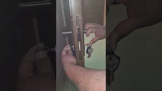                                                           دندنها
