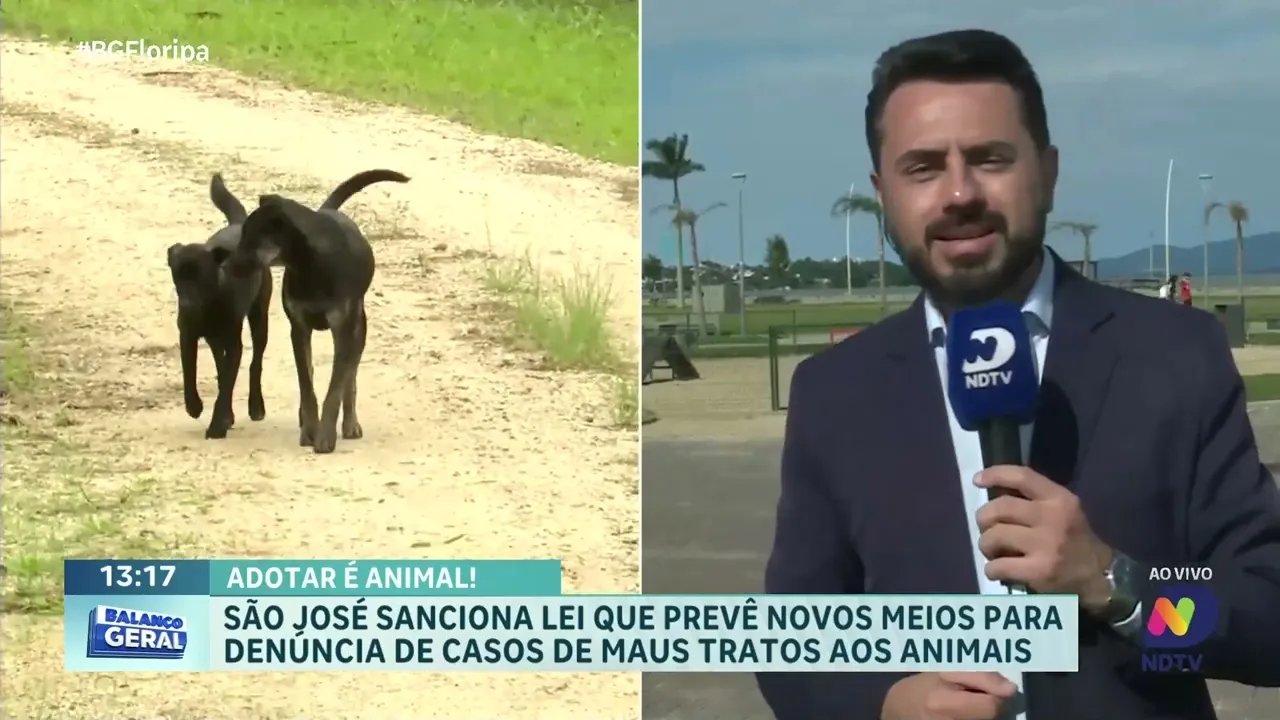 Nova lei em São José facilita denúncias de maus tratos aos animais