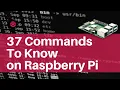 37 Commands you Need to Know on Raspberry Pi