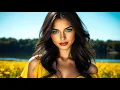 Download Lagu 🌴 DJ XOXO – Morena | Romanian Popcorn Dance 2025 🌴
