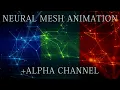 Futuristic neural mesh seamless loop animation with alpha channel After Effects Rowbyte Plexus