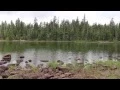 Adventure Oregon - Triangle lake and horse camp
