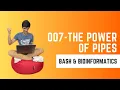The Power of Pipes Bash Essentials for Bioinformatics BEB